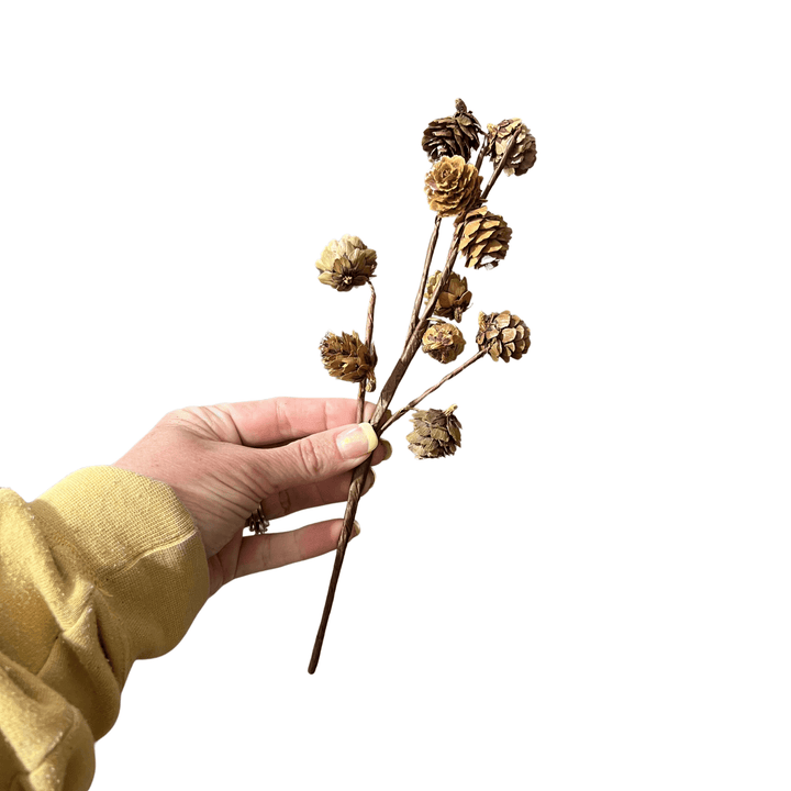 10" Pine Cone Sprig | Bulk Buy