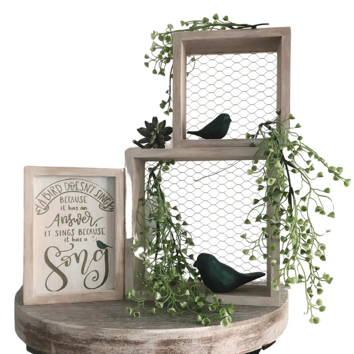 Sing Your Song | Bird Box Trio | DIY Chickenwire Bird Shelf w/ Quote ProjectHomeDIY