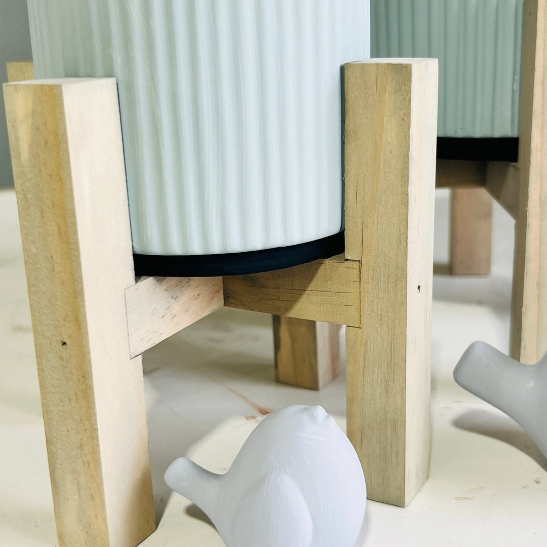 Tweet Tweet Duo | DIY Ceramic Planters & Bird Duo ProjectHomeDIY