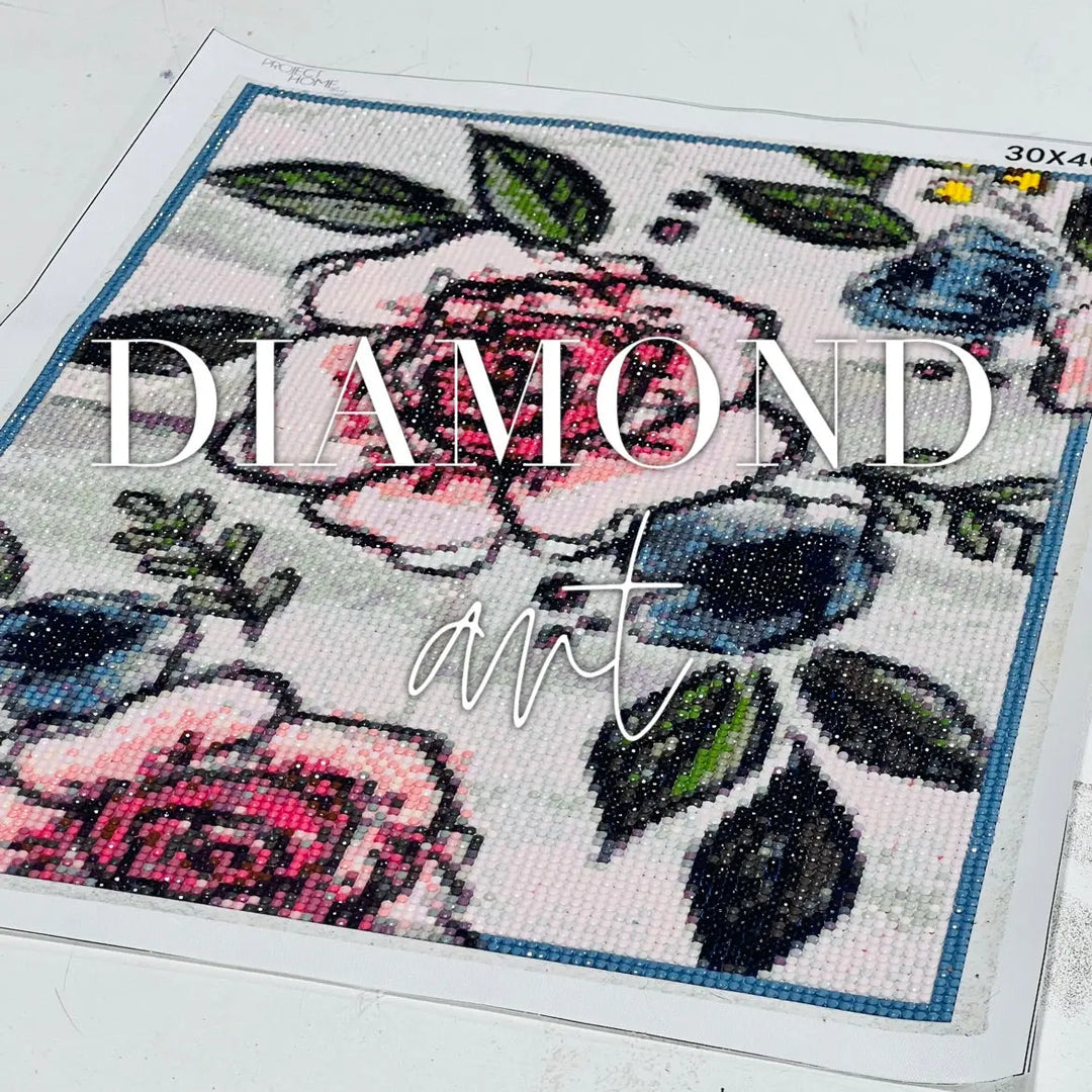 Ph-DIY Diamond Painting | Diamond Art | 12 x 16 Project Home DIY